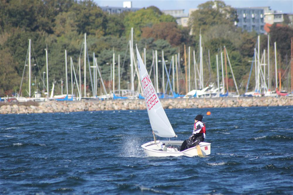 Vis 20111008 130843.jpg i fuld st�rrelse